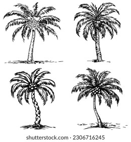 Grunge abstract backdrop, Summer Palm trees silhouettes of tropical trees an exotic plant with a powerful trunk and large leaves.