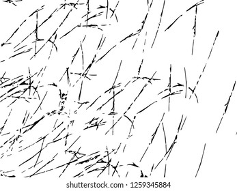 Grunge abstract black background on white backdrop. Two colors. Monochrome. Rectangular horizontal medium rough design. Vector.
