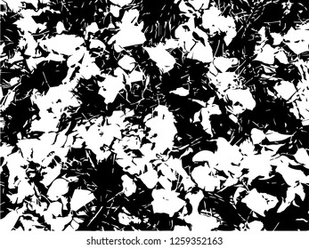 Grunge abstract black background on white backdrop. Two colors. Monochrome. Rectangular horizontal medium rough design. Vector.