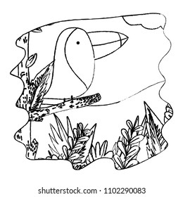 grunge adorable toucan bird animal in the forest