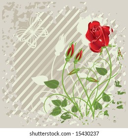 Grunge background with   abstract red roses and  butterfly