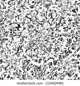 Grunge background black and white. Abstract vector pattern of cracks, dust, chipping