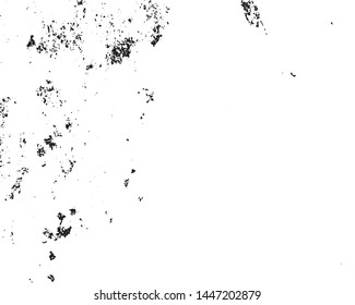 Grunge background black and white. Abstract monochrome pattern of leaf texture. Dark design background surface.