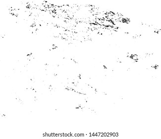Grunge background black and white. Abstract monochrome pattern of leaf texture. Dark design background surface.