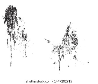 Grunge background black and white. Abstract monochrome pattern of leaf texture. Dark design background surface.