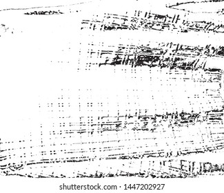 Grunge background black and white. Abstract monochrome pattern of leaf texture. Dark design background surface.