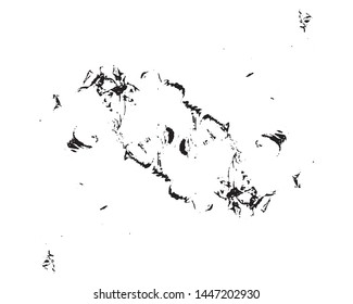 Grunge background black and white. Abstract monochrome pattern of leaf texture. Dark design background surface.