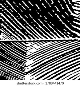 Grunge Background with Black and White Stripes. Monochrome Grunge Pattern. Nature Striped Background for your Design. Rough Black and White Background. Rough Arcuate Stripes. Vector Texture.