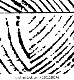 Borde fondo con franjas en blanco y negro. Fondo negro y blanco áspero. Tiras Arcuadas Rosas. Textura vectorial. Patrón ondulado monocromo. Fondo rayado de la naturaleza para su diseño.