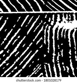 Borde fondo con franjas en blanco y negro. Patrón ondulado monocromo. Fondo rayado de la naturaleza para su diseño. Fondo negro y blanco áspero. Tiras Arcuadas Rosas. Textura vectorial.