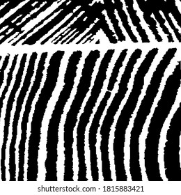 Grunge Background with Black and White Stripes. Nature Striped Background for your Design. Monochrome Grunge Pattern. Rough Black and White Background. Rough Arcuate Stripes. Vector Texture.