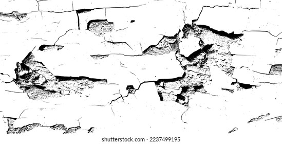 Grunge background is a black and white texture of old paint that is peeling off a wooden board. Vector illustration