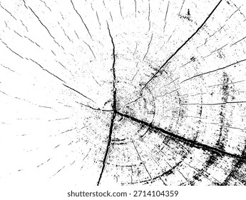 farbiger Hintergrund schwarz-weiß. Textur von Spänen, Rissen, Kratzern, Schellen, Staub, Schmutz. Vektormuster von Rissen, Spänen, Schellen. Abstrakte Vintage-Oberfläche einzeln auf weißem Hintergrund.EPS10.