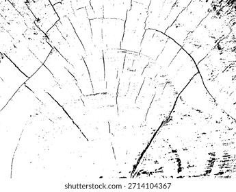 farbiger Hintergrund schwarz-weiß. Textur von Spänen, Rissen, Kratzern, Schellen, Staub, Schmutz. Vektormuster von Rissen, Spänen, Schellen. Abstrakte Vintage-Oberfläche einzeln auf weißem Hintergrund.EPS10.