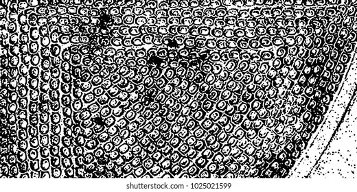 Grunge background black and white vector. Abstract texture of dust, dirt, stains