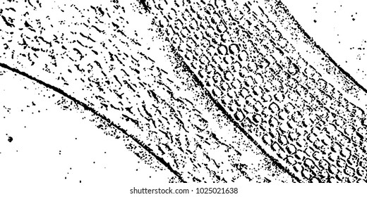 Grunge background black and white vector. Abstract texture of dust, dirt, stains