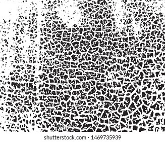 Grunge background is black and white. Vector abstract texture of old surface