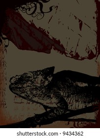 grunge background chameleon