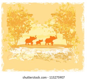 grunge background with elephant family