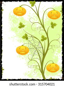 Grunge  background with scroll, pumpkins, leaf and spider's web, isolated on white, vector illustration