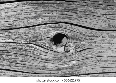 Grunge background. Stains and scratches on the sheet. Wooden texture. The fibers and the layers of vegetation.