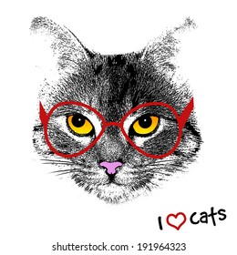 Grunge background with a stylized cat face with red glasses, vector illustration