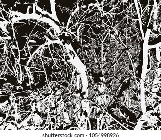 Grunge background. Texture with the effect of noise and grain. Vector illustration for a design surface.