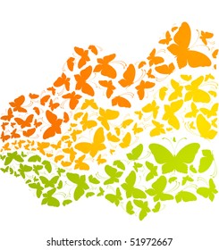 Grunge background with tropical butterflies. Beautiful abstract vector illustration.