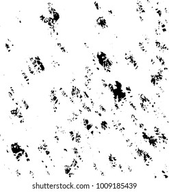 Grunge background vector modern design. Abstract surreal pattern of spots, dust, lines. Chaotic monochrome texture with the print and design business cards, labels, posters