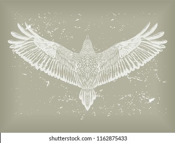 Grunge Background With White Hand Drawn Hawk.Flying Bird On The Grey Ground. Engraved Owl. Vector Isolated Illustration. Sketch Of Tattoo Art. Design Print For T-shirt. Symbol Of Freedom.