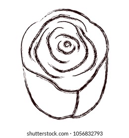grunge beautiful rose with nature petals decoration