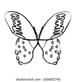 grunge beauty butterfly insect with nice wings