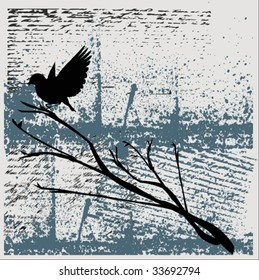 Grunge Bird Background