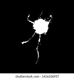 Grunge birds droppings black and white. Flat blots style vector illustration. Map. Abstract paint drop.