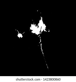 Grunge birds droppings black and white. Flat blots style vector illustration. Map. Abstract paint drop.