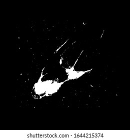 Grunge birds droppings black and white. Flat blots style vector illustration. Map. Abstract paint drop.