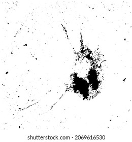 Grunge Birds Droppings Black And White. Flat Blots Style Vector Illustration. Map. Abstract Paint Drop.