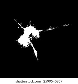 Grunge birds droppings black and white. Flat blots style vector illustration. Map. Abstract paint drop.