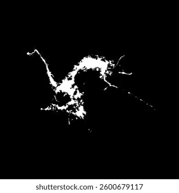 Grunge birds droppings black and white. Flat blots style vector illustration. Map. Abstract paint drop.