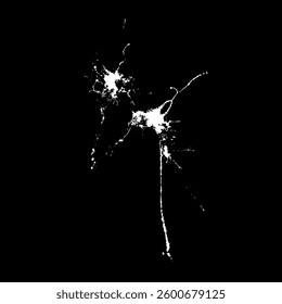 Grunge birds droppings black and white. Flat blots style vector illustration. Map. Abstract paint drop.