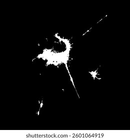 Grunge birds droppings black and white. Flat blots style vector illustration. Map. Abstract paint drop.