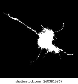 Grunge birds droppings black and white. Flat blots style vector illustration. Map. Abstract paint drop.