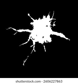 Grunge birds droppings black and white. Flat blots style vector illustration. Map. Abstract paint drop.
