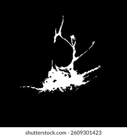 Grunge birds droppings black and white. Flat blots style vector illustration. Map. Abstract paint drop.