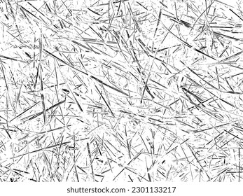 Grunge schwarze Textur. Dunkelgraue Textur auf weißem Hintergrund. Staubüberlagerungen strukturiert. Kornrauschpartikel. Weißer Effekt geröstet. Designelemente. Vektorgrafik, EPS10.