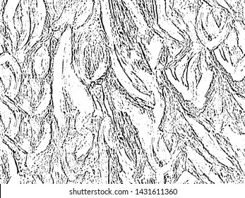 Grunge black and white abstract texture