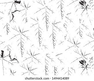 Grunge is black and white background. Abstract dark Vector pattern of dust, cracks