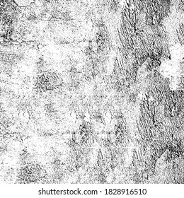 Grunge black and white. Background of scratches, chips, cracks, and scuffs. Abstract texture of dirt, dust, and wear. Chaotic monochrome pattern of the old surface