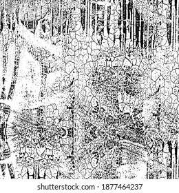 Grunge black and white. Background of scratches, chips, cracks, and scuffs. Abstract texture of dirt, dust, and wear. Chaotic monochrome pattern of the old surface