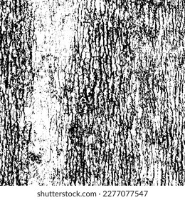 Grunge is black and white. The background is vector abstract. Monochrome texture of scratches, chips, scuffs, dirt. Surreal Backdrop template